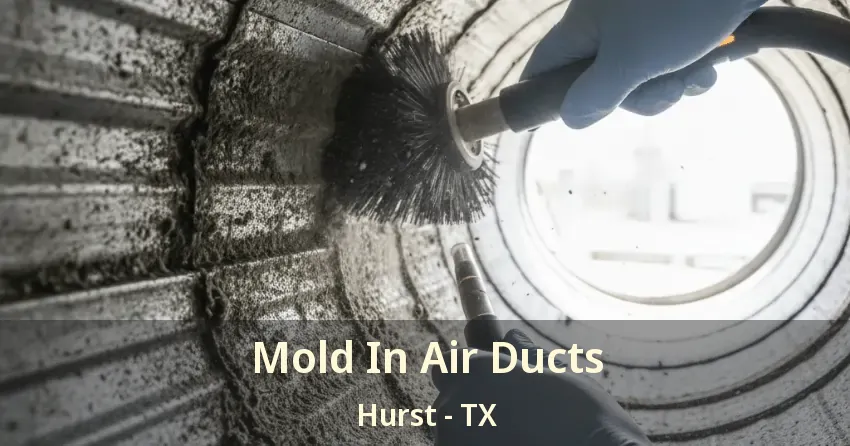 Mold In Air Ducts Hurst - TX