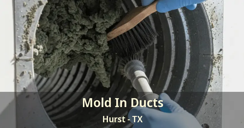 Mold In Ducts Hurst - TX Mold In Ducts Hurst - TX